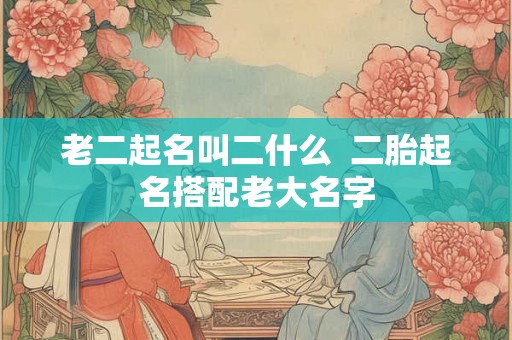 老二起名叫二什么  二胎起名搭配老大名字