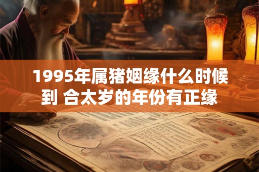 1995年属猪姻缘什么时候到 合太岁的年份有正缘 1995年属猪姻缘什么时候到 合太岁的年份有正缘