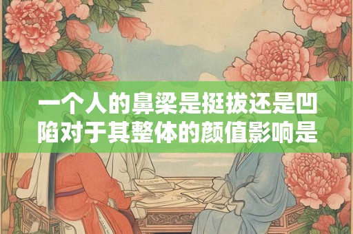 一个人的鼻梁是挺拔还是凹陷对于其整体的颜值影响是很大的 一个人的鼻梁是挺拔还是凹陷对于其整体的颜值影响是很大的
