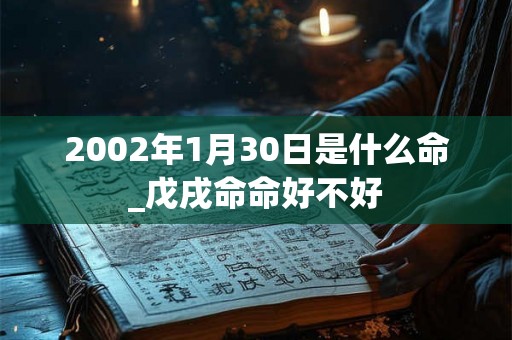 2002年1月30日是什么命_戊戌命命好不好