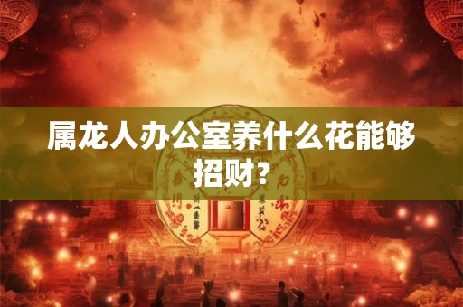 属龙人办公室养什么花能够招财？