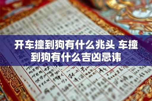 开车撞到狗有什么兆头 车撞到狗有什么吉凶忌讳 开车撞到狗有什么兆头 车撞到狗有什么吉凶忌讳