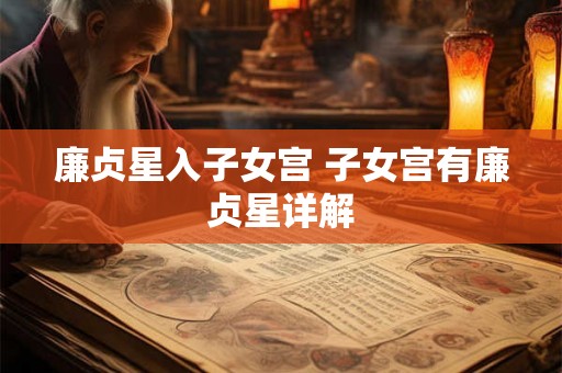 廉贞星入子女宫 子女宫有廉贞星详解