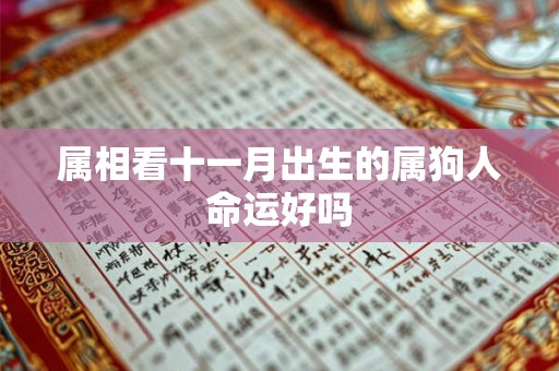 属相看十一月出生的属狗人命运好吗