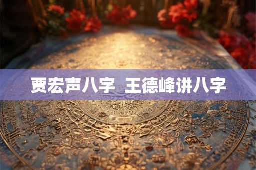 贾宏声八字  王德峰讲八字