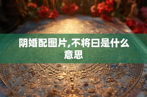 阴婚配图片,不将曰是什么意思