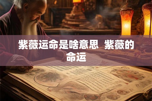 紫薇运命是啥意思  紫薇的命运