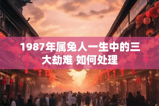 1987年属兔人一生中的三大劫难 如何处理