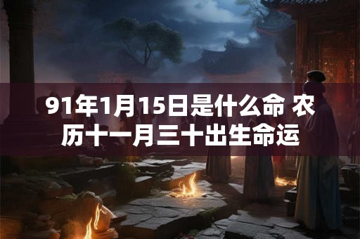 91年1月15日是什么命 农历十一月三十出生命运 91年1月15日是什么命 农历十一月三十出生命运