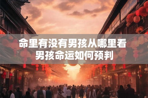 命里有没有男孩从哪里看 男孩命运如何预判 命里有没有男孩从哪里看 男孩命运如何预判