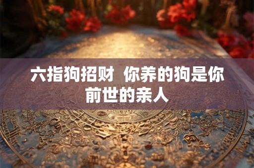 六指狗招财  你养的狗是你前世的亲人