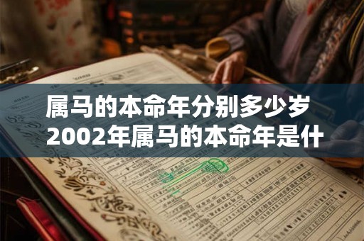 属马的本命年分别多少岁  2002年属马的本命年是什么时候