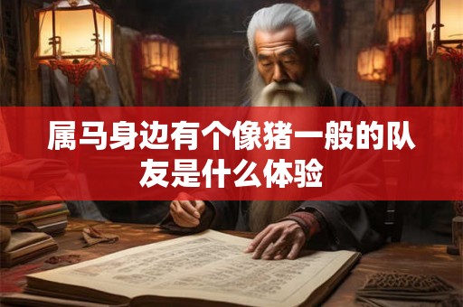 属马身边有个像猪一般的队友是什么体验 属马身边有个像猪一般的队友是什么体验