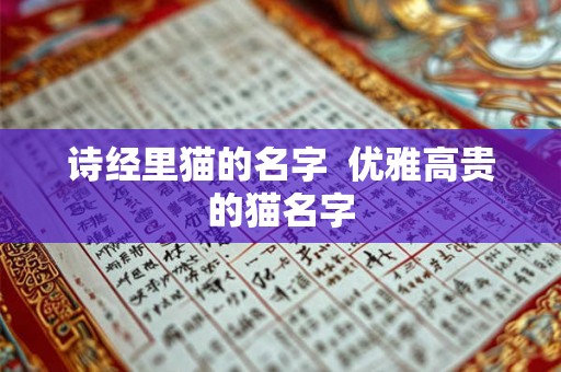 诗经里猫的名字 优雅高贵的猫名字 诗经里猫的名字 优雅高贵的猫名字