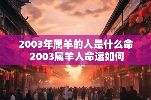 2003年属羊的人是什么命 2003属羊人命运如何