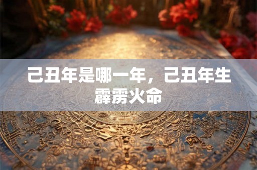 己丑年是哪一年，己丑年生霹雳火命