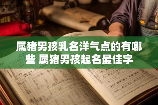 属猪男孩乳名洋气点的有哪些 属猪男孩起名最佳字