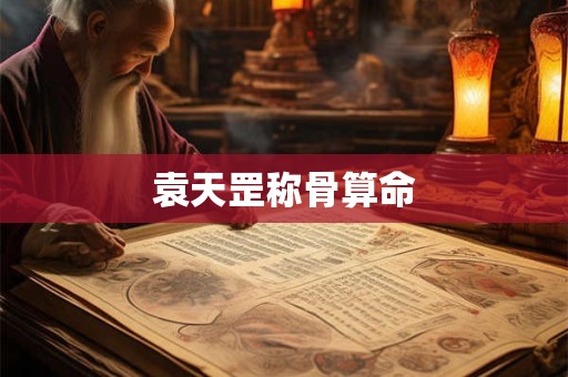 袁天罡称骨算命
