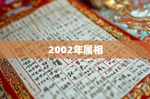 2002年属相
