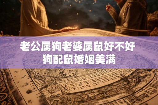 老公属狗老婆属鼠好不好 狗配鼠婚姻美满