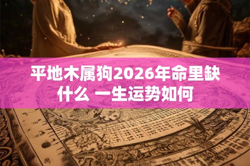 平地木属狗2026年命里缺什么 一生运势如何