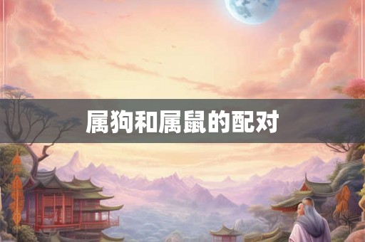 属狗和属鼠的配对