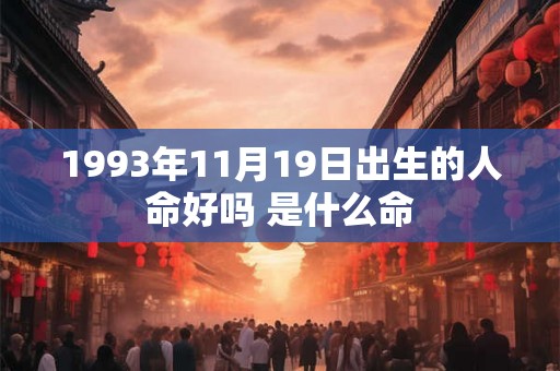 1993年11月19日出生的人命好吗 是什么命