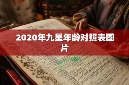 2020年九星年龄对照表图片