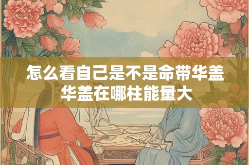 怎么看自己是不是命带华盖 华盖在哪柱能量大 怎么看自己是不是命带华盖 华盖在哪柱能量大