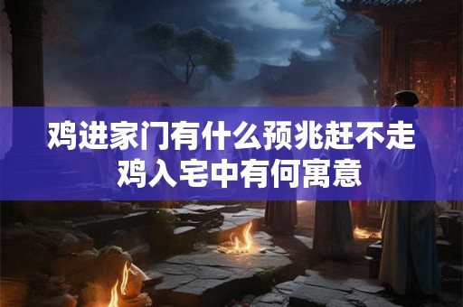 鸡进家门有什么预兆赶不走  鸡入宅中有何寓意