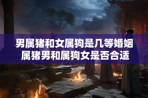 男属猪和女属狗是几等婚姻 属猪男和属狗女是否合适 男属猪和女属狗是几等婚姻 属猪男和属狗女是否合适