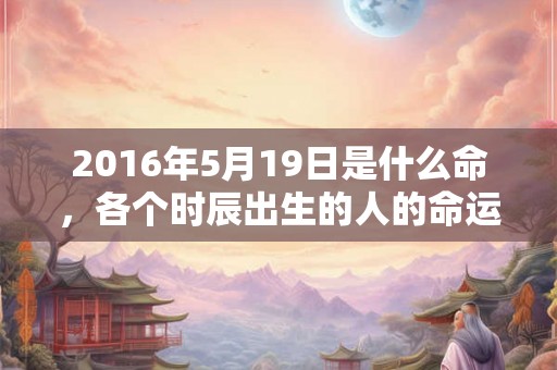 2016年5月19日是什么命，各个时辰出生的人的命运