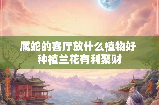 属蛇的客厅放什么植物好 种植兰花有利聚财