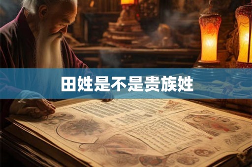田姓是不是贵族姓