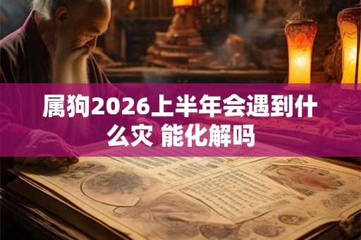 属狗2026上半年会遇到什么灾 能化解吗