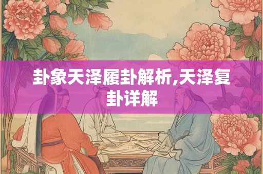 卦象天泽履卦解析,天泽复卦详解