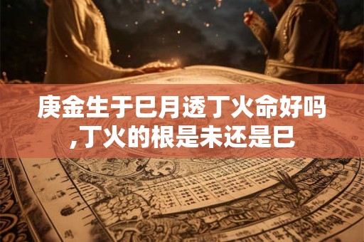 庚金生于巳月透丁火命好吗,丁火的根是未还是巳