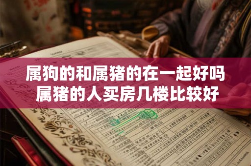 属狗的和属猪的在一起好吗 属猪的人买房几楼比较好