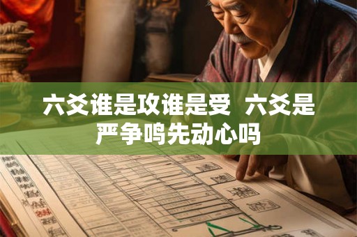 六爻谁是攻谁是受  六爻是严争鸣先动心吗