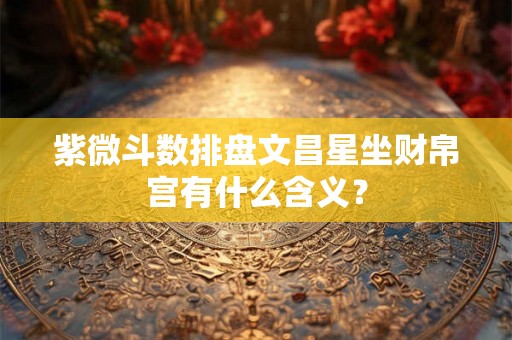 紫微斗数排盘文昌星坐财帛宫有什么含义？