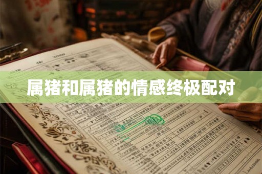 属猪和属猪的情感终极配对
