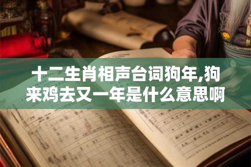 十二生肖相声台词狗年,狗来鸡去又一年是什么意思啊？