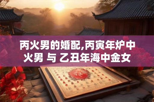 丙火男的婚配,丙寅年炉中火男 与 乙丑年海中金女