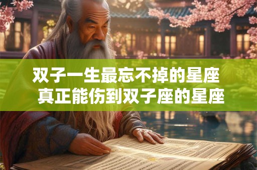 双子一生最忘不掉的星座  真正能伤到双子座的星座