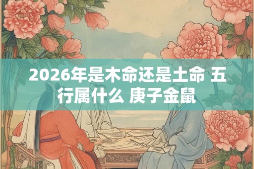2026年是木命还是土命 五行属什么 庚子金鼠