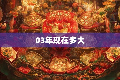 03年现在多大