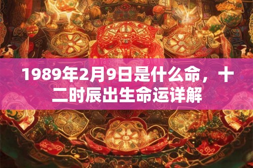 1989年2月9日是什么命，十二时辰出生命运详解