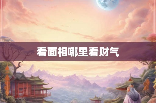 看面相哪里看财气