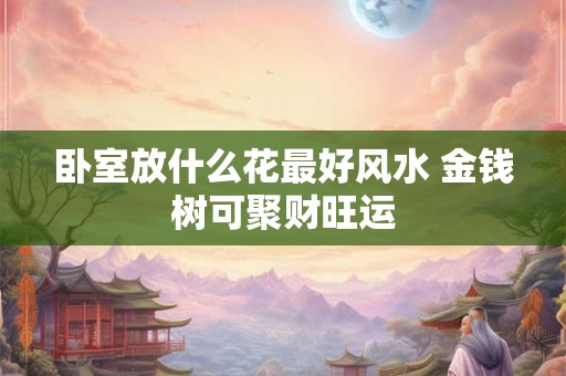 卧室放什么花最好风水 金钱树可聚财旺运