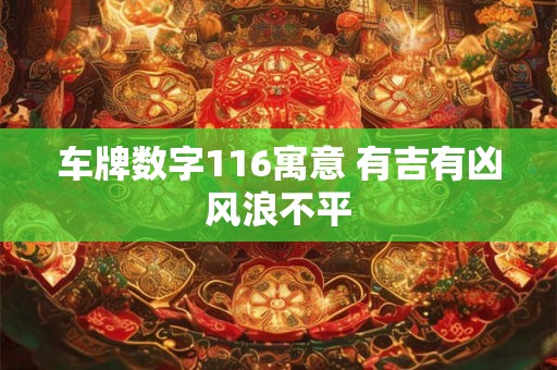 车牌数字116寓意 有吉有凶风浪不平